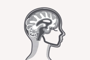 Neurotwins: Personalizing Digital Brains