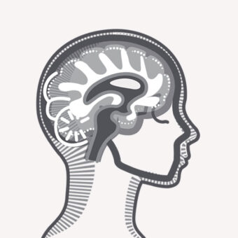 Neurotwins: Personalizing Digital Brains