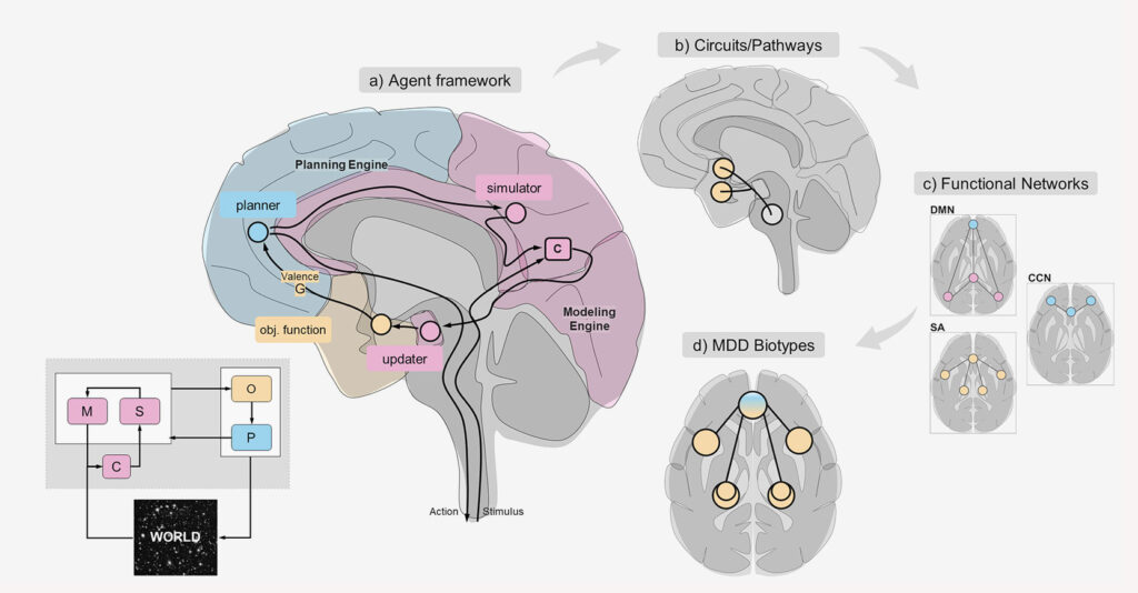 Connecting the agent model to brain circuits, functional networks, and biotypes.

Revolutionizing MDD Treatment through Computational Neuropsychiatry